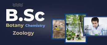 ONLINE/DISTANCE B.Sc